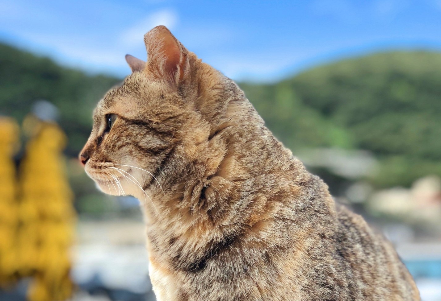 動物病院求人採用ナビ 求人検索